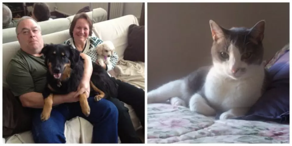 Cat People Vs. Dog People: What Team Are You On? [VIDEO]