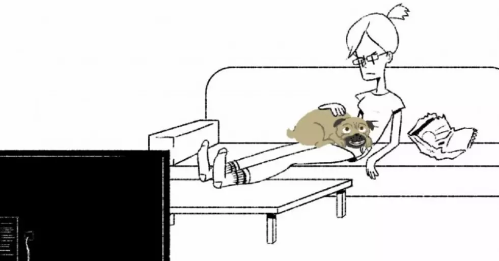 If Dogs Could Apologize&#8230; [VIDEO]