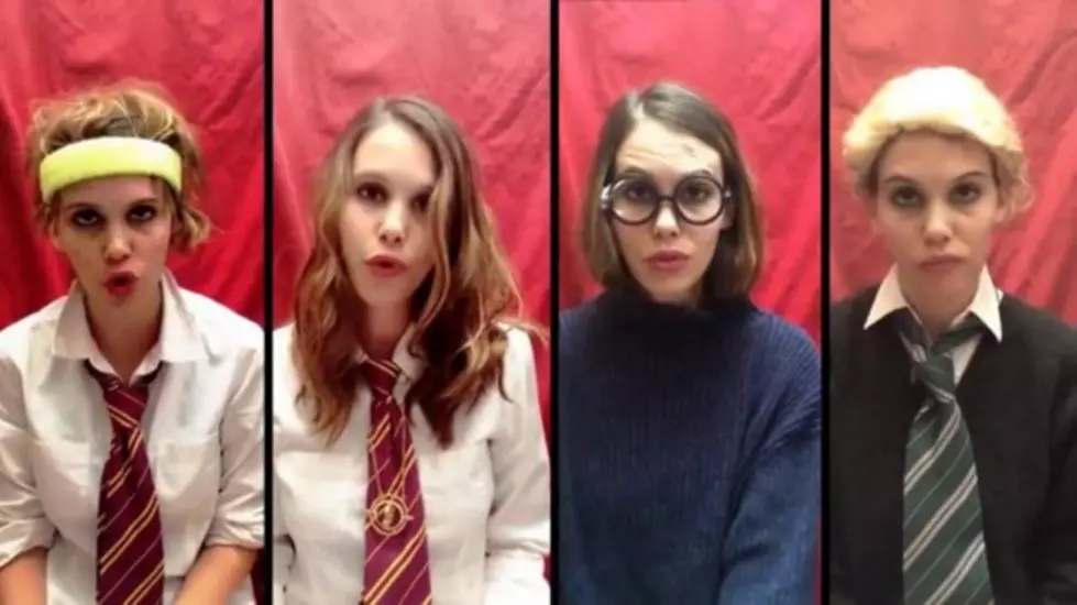 Taylor Swift Harry Potter Parody Mashup Video