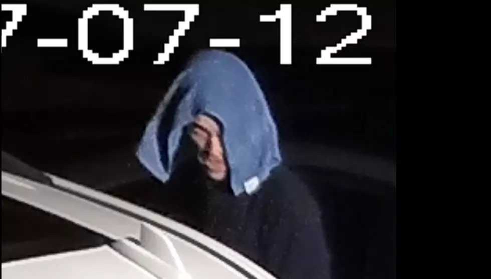 Mullica Township Police Searching for Suspected Car Burglar