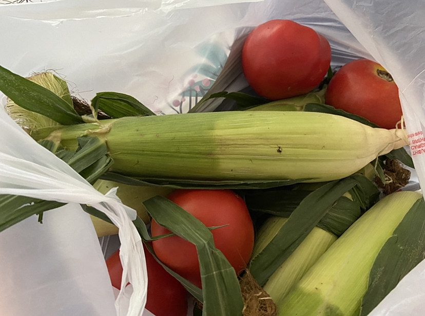 New Jersey Corn – sealtheseasons