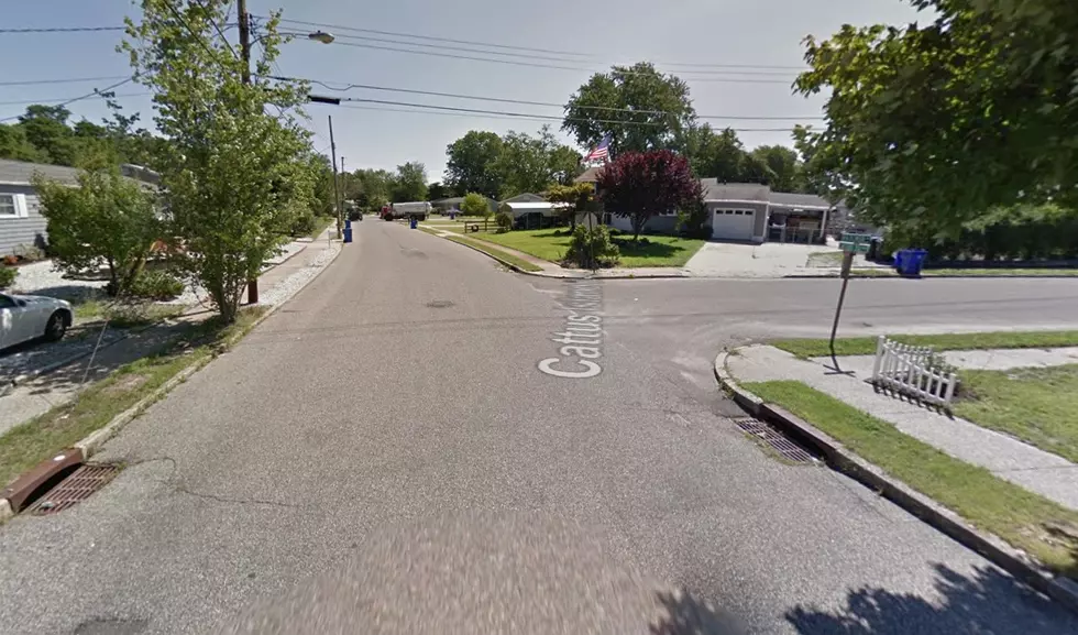 Cattus Island Boulevard and Hazelwood Road in Toms River NJ - Photo: Google Maps