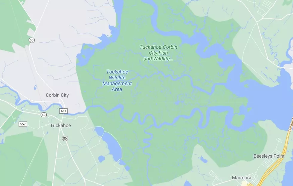 Map of the Tuckahoe Wildlife Management Area - Graphic: Google Maps