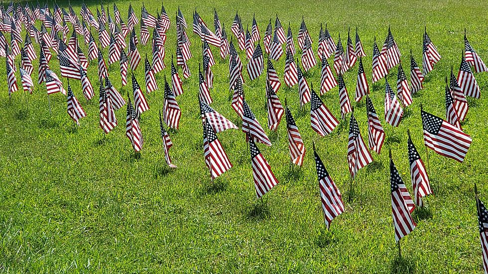 Stunning and Somber: 660 Flags in Egg Harbor Township Should Make You Pause