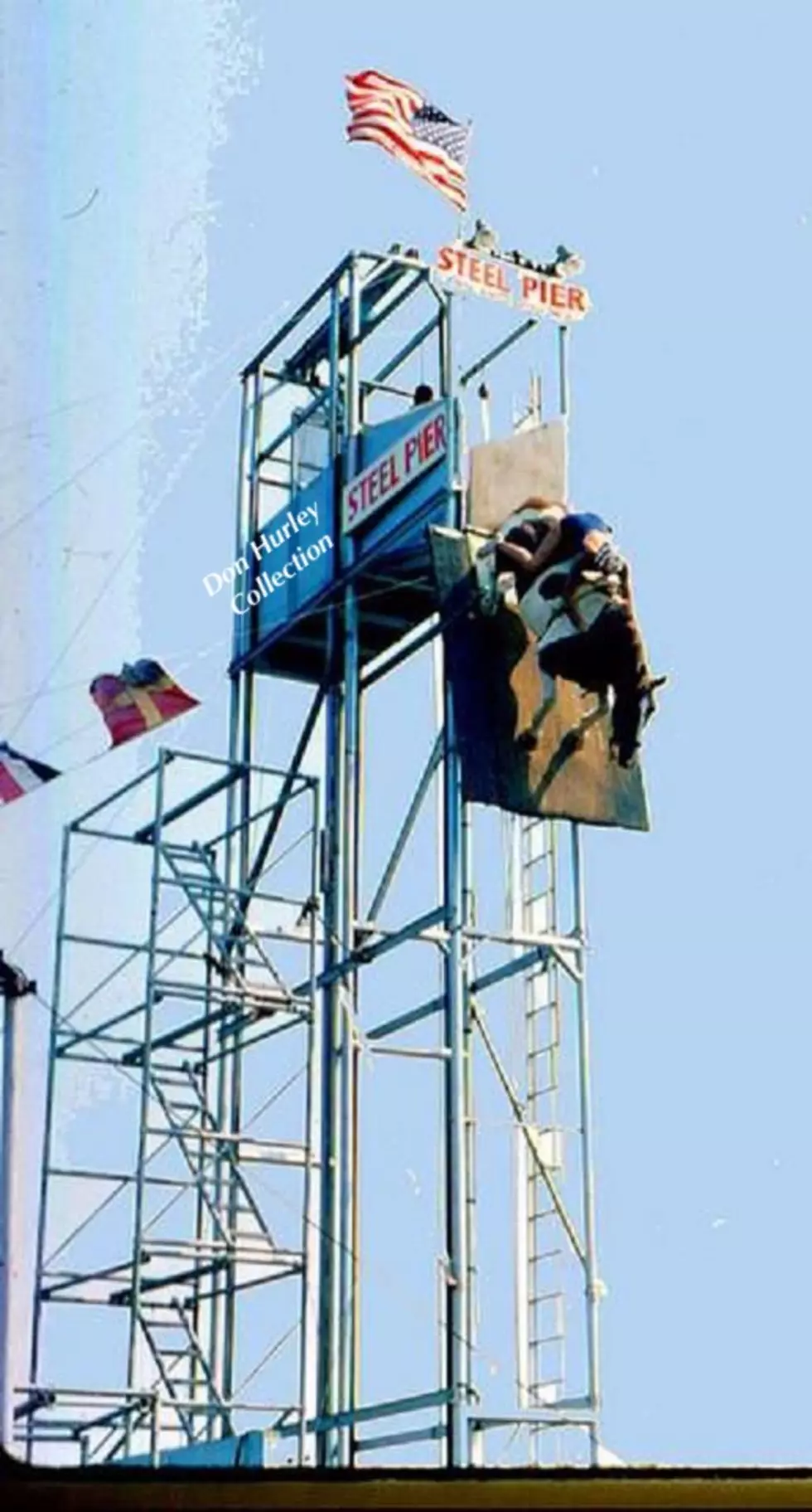 World Famous Steel Pier High Diving Horse - Don P. Hurley photo collection