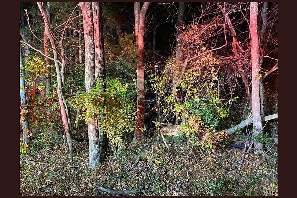 Report: Driver Not Injured in Upper Twp., NJ, Rollover Crash Sunday Night