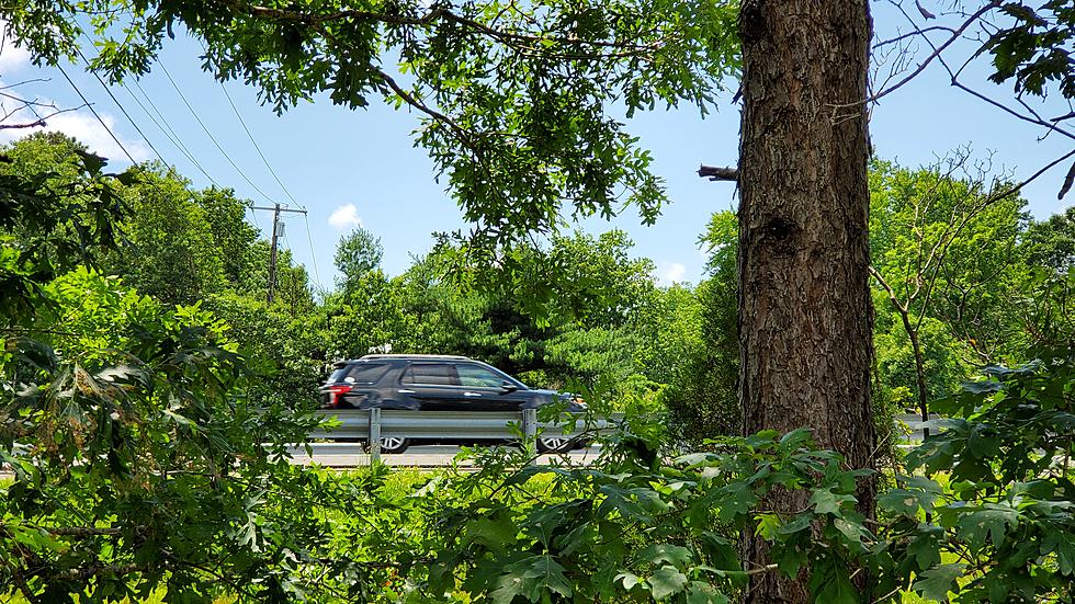 Should English Creek Ave. in Egg Harbor Twp., NJ, Cross the Atlantic City Expressway?