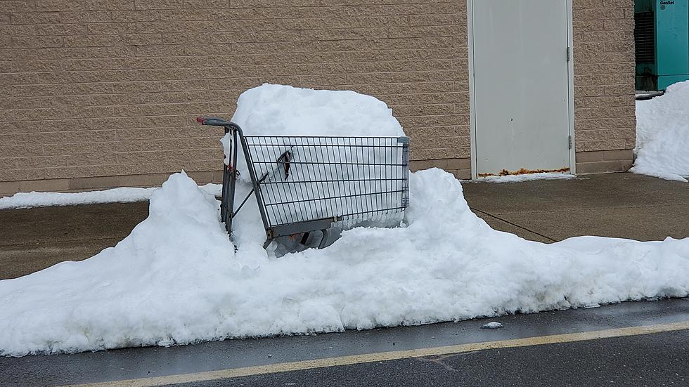 How Mother Nature Can Save Hamilton Mall in Mays Landing, NJ