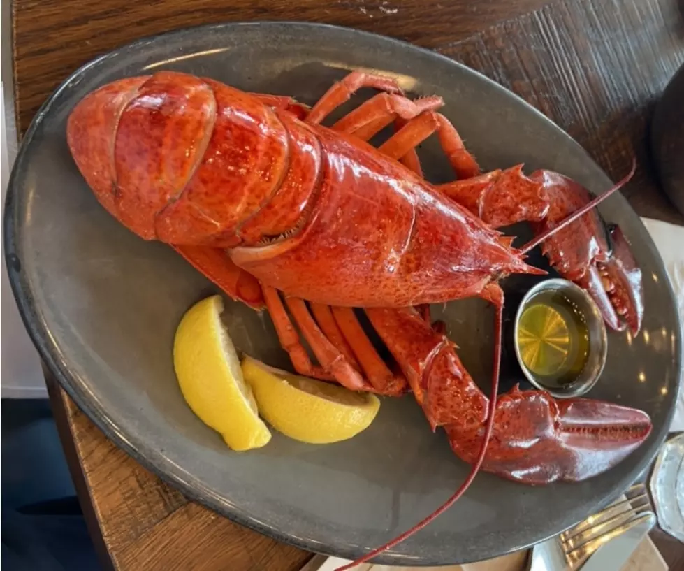 Forget about Maine! The best lobster comes from Atlantic City, NJ