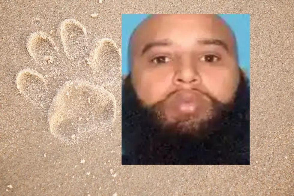 Camden, NJ, Man Sentenced for Killing His Girlfriend’s Puppy in Atlantic City