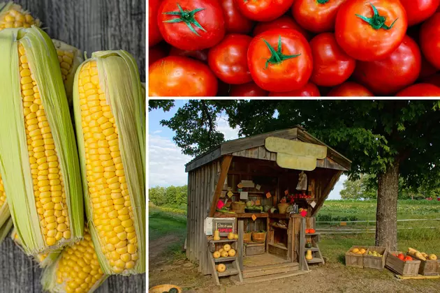 Favorite Atlantic County, NJ Fresh Farm Market Roadside Stands