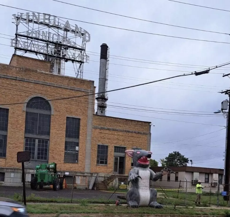 Why Is There A Giant Inflatable Rat At The Vineland Electric Plant?