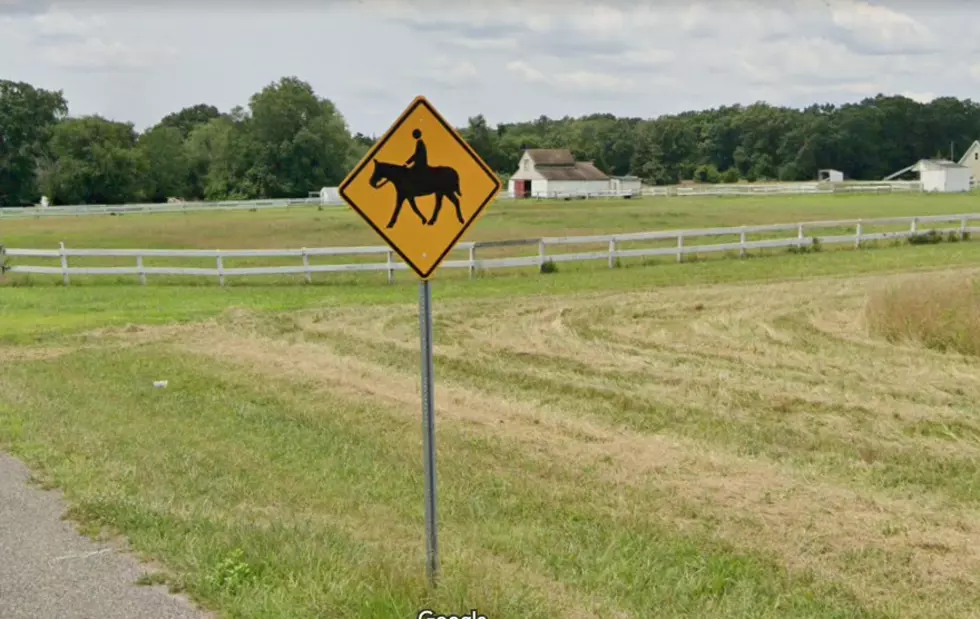 Horse Killed, 14-year-old Rider Hurt in Gloucester County, NJ, Hit-and-run Crash