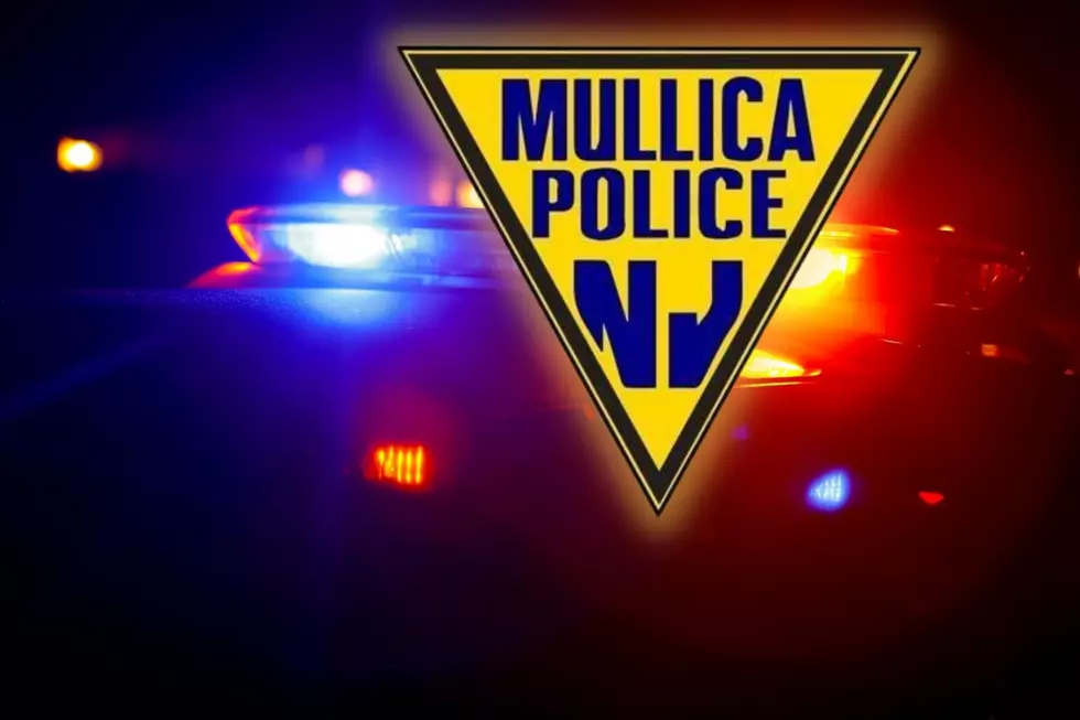 Mullica Twp., NJ, Police Searching for Suspicious Pest Control Truck