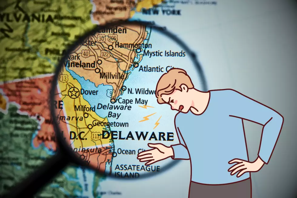 Yelling at Delaware - Photo: TSM Illustration