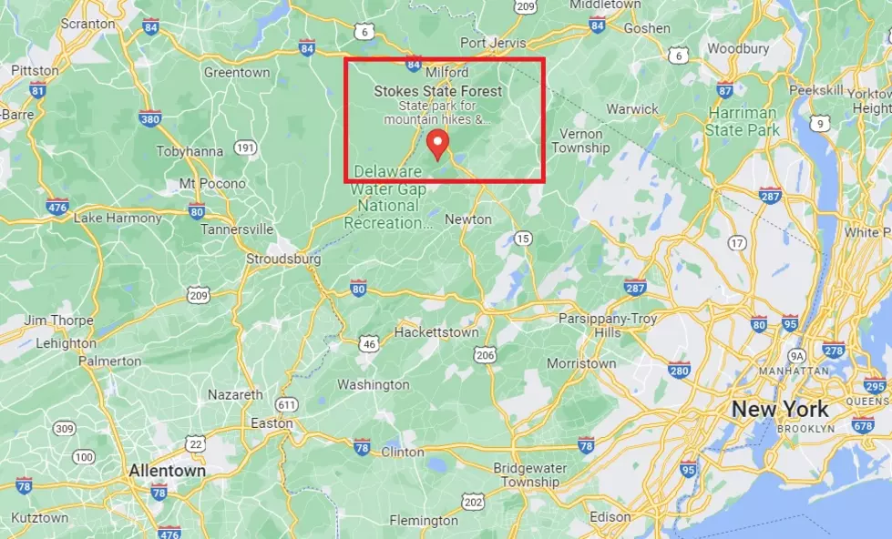 Stokes State Forest - Photo: Google Maps