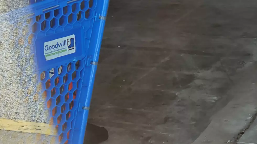 Inside the old Pathmark supermarket in Egg Harbor Township NJ - Photo: Chris Coleman