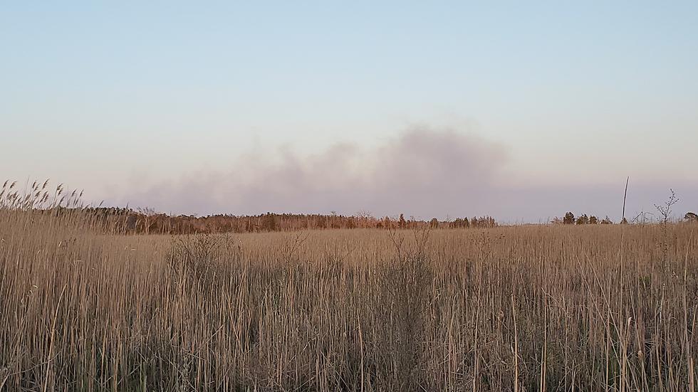85% Contained: Crews Fighting Yet Another Wildfire in NJ&#8217;s Pine Barrens