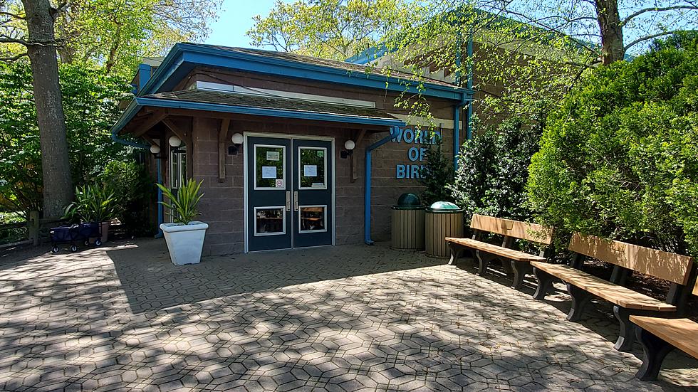 Last Chance: Historic Portion of Cape May, NJ, Zoo Closing in Just Days