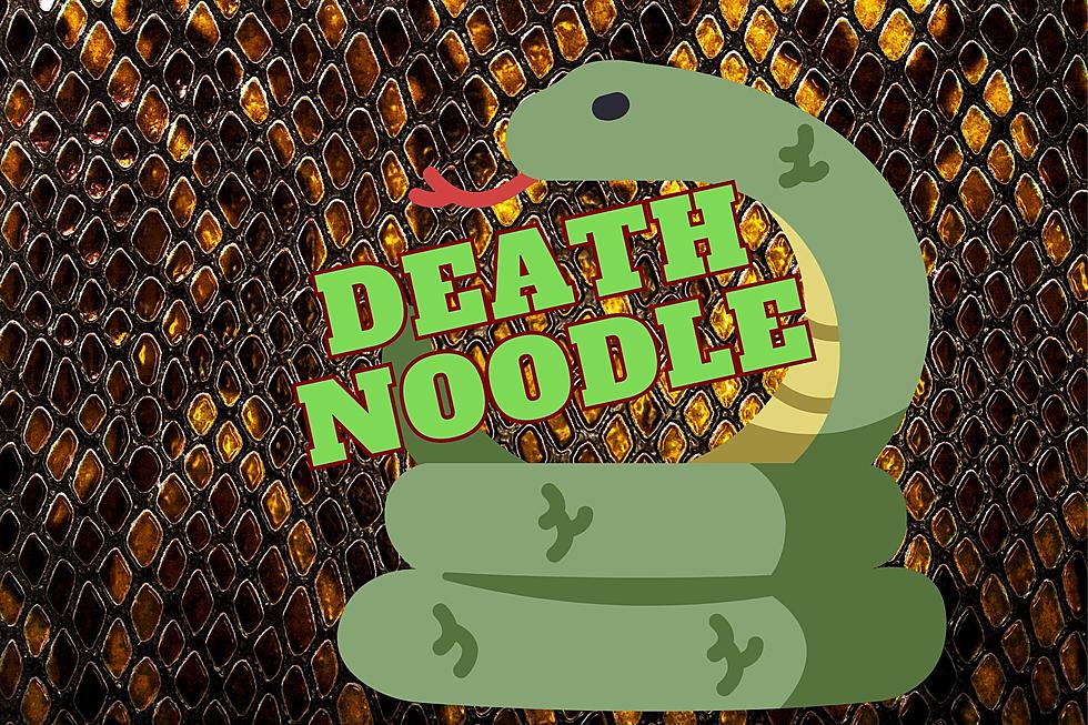 NJ police department goes viral over ‘death noodle’ rescue