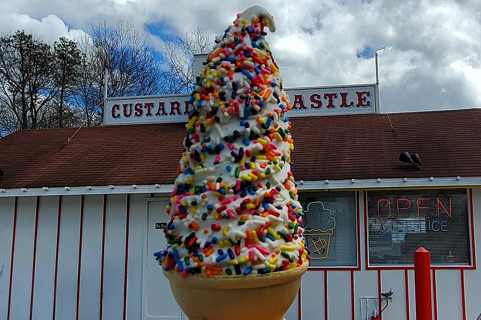 Locals say these are the best ice cream/custard stands in Southern New Jersey