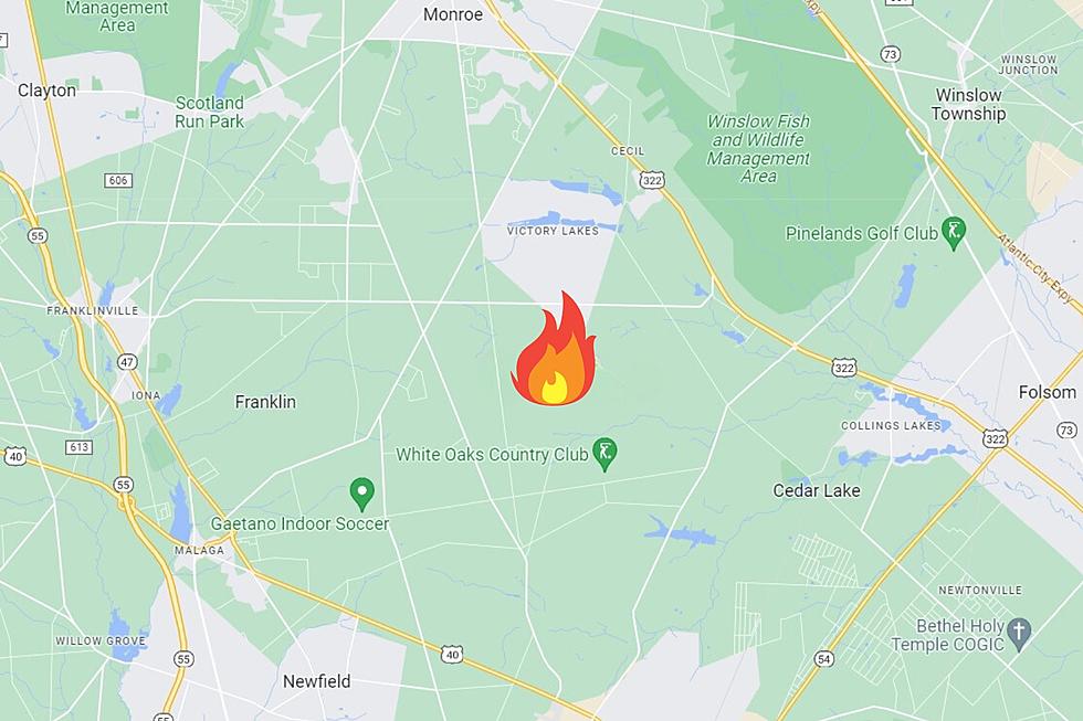Wildfire Burns 150 Acres in Franklin and Monroe Twps., NJ