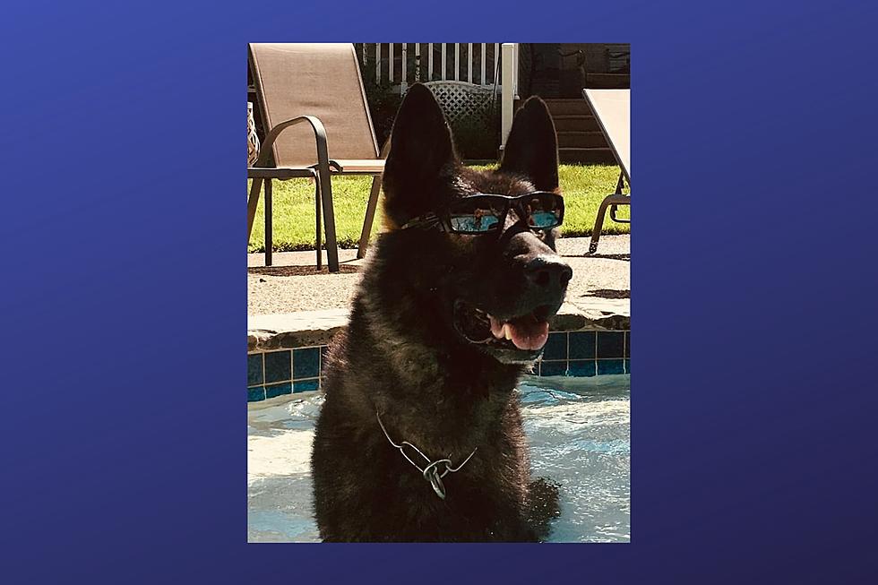 Retired Vineland, NJ, Police K9 Passes Away