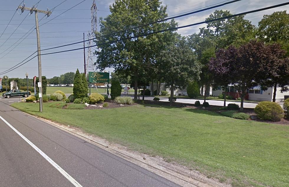 Egg Harbor Twp., NJ, PD: Man Punched Cop, Threatened Him With Rock, Bird Feeder, Pit Bull