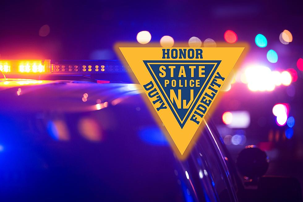 2 men allegedly driving stolen car stopped in their tracks by NJ state troopers