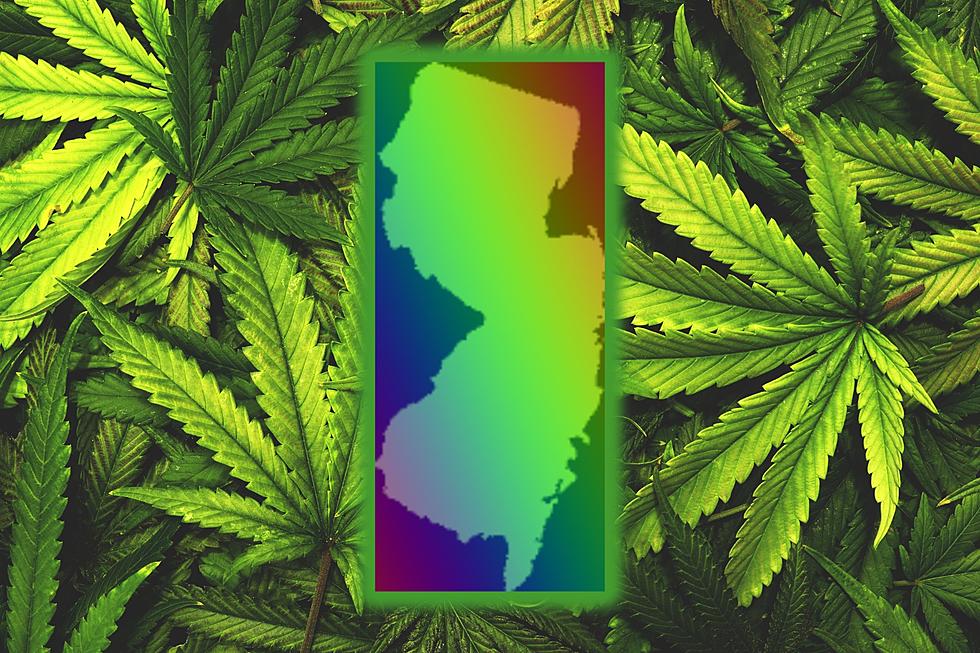 Website Ranks the Best Public Spots to Smoke Marijuana in New Jersey