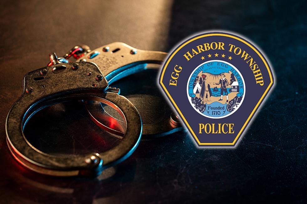 Police: 2 Teens&#8217; Crime Spree Ends After Stolen Car Crashes in Egg Harbor Twp., NJ