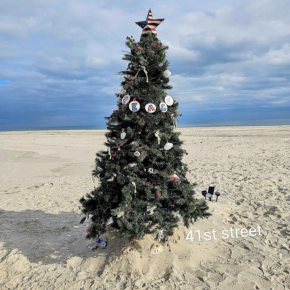 Multiple Christmas Trees Pop-Up On Ocean City, NJ Beaches (Photos)