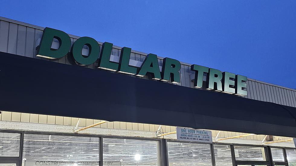 First Look Inside New Dollar Tree Store in Northfield, NJ