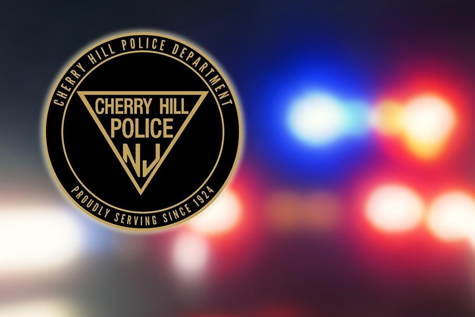 38 shoplifters arrested in 2 days in Cherry Hill, NJ — store owners ‘ecstatic’