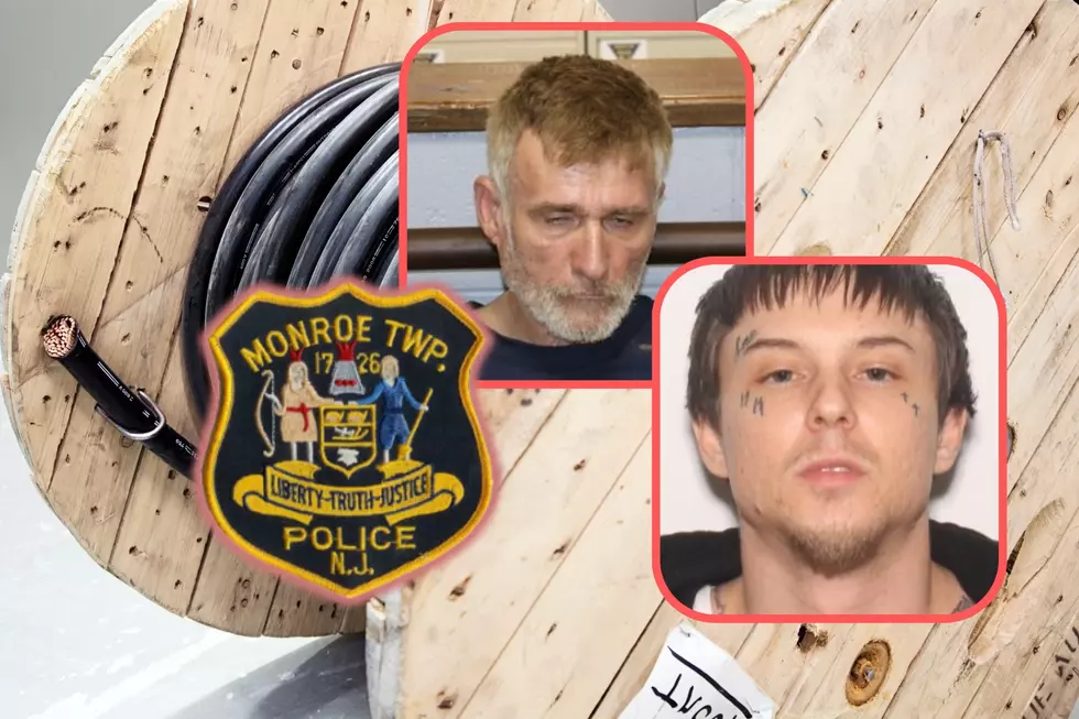 $5,000 worth of wire stolen from solar site in Monroe Twp., NJ; 2 caught in woods by cops