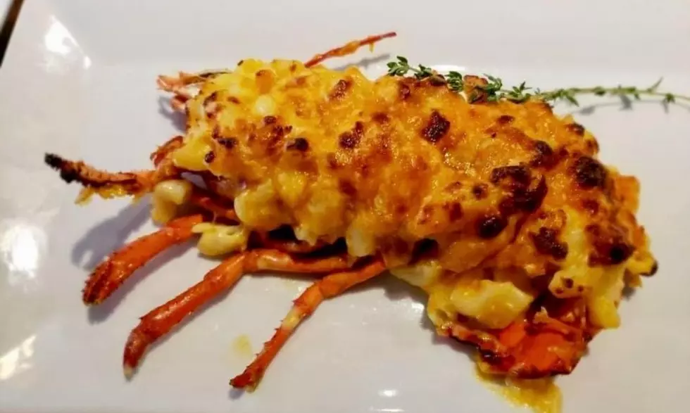 Great Lobster Mac & Cheese Available in Atlantic City, NJ Area