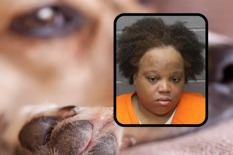Atlantic City, NJ, woman found guilty of animal cruelty
