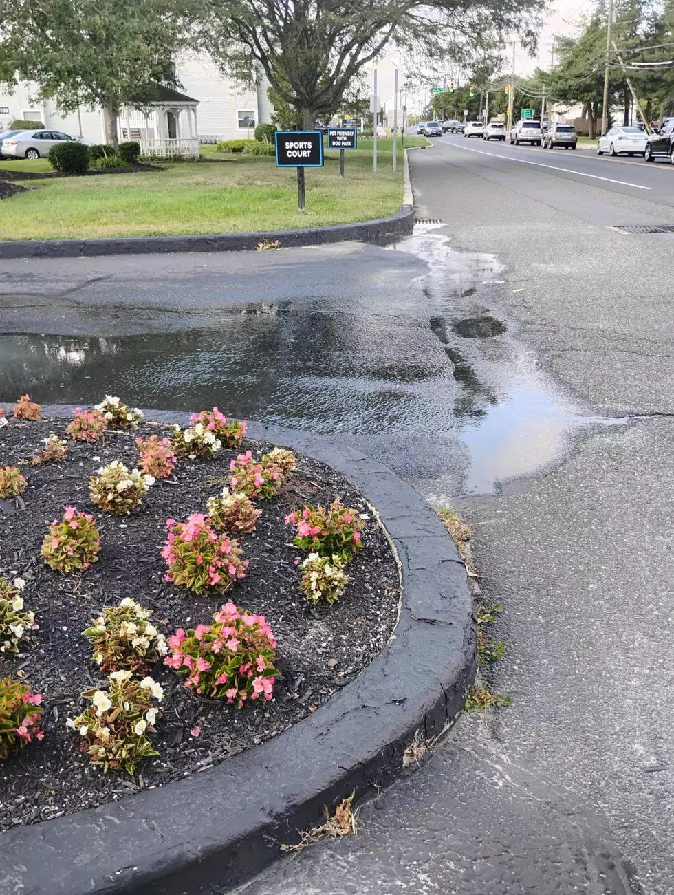 Absecon – Pleasantville, NJ Border: What Is That Awful Smell?