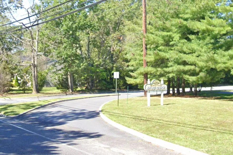 Egg Harbor Township Nature Reserve - Photo: Google Maps