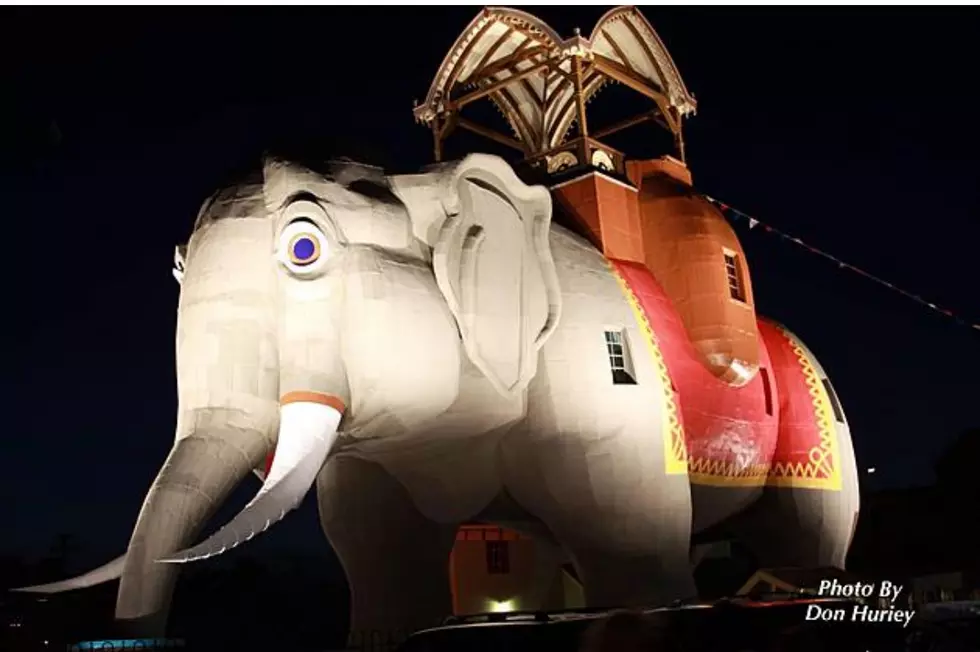 Ouch, This One Hurts: ‘Lucy The Elephant’ Just Lost $ 500,000