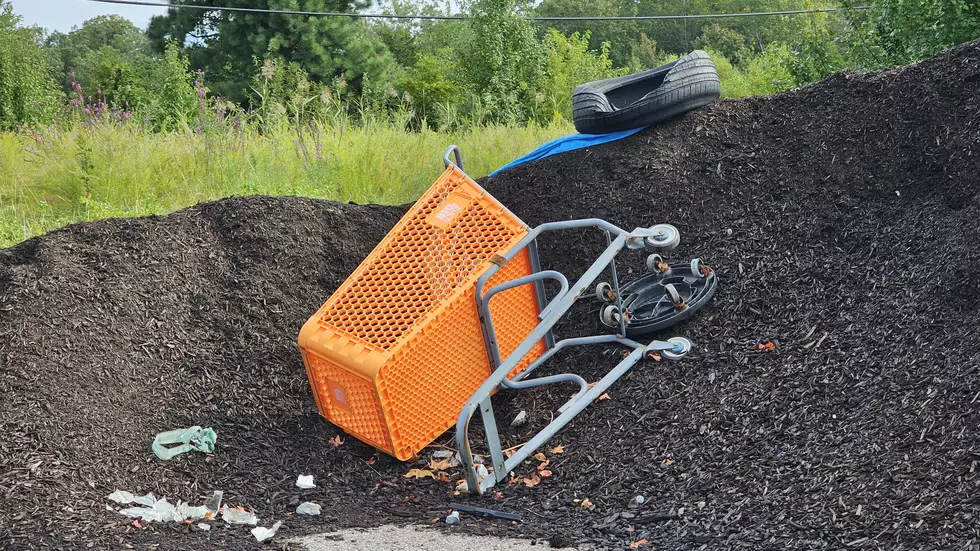 Old Big Lots shopping cart in Mays Landing NJ - Photo: Chris Coleman