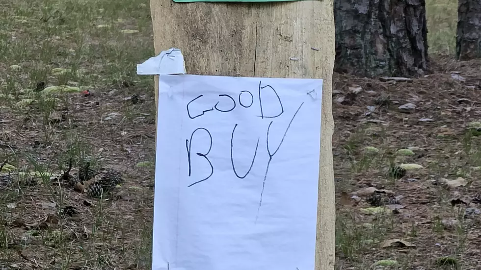 Crazy sign in Hamilton Township NJ - Photo: Chris Coleman