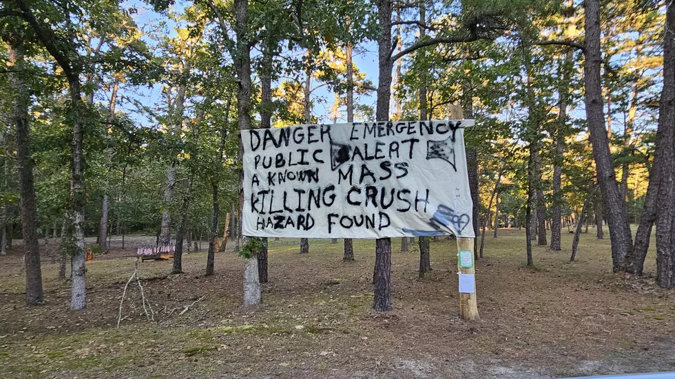 Crazy banner hanging in a yard in Hamilton Township NJ - Photo: Chris Coleman