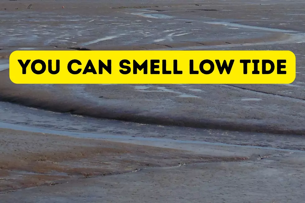 Fill in the blank: “You know you’re from South Jersey when _________.”