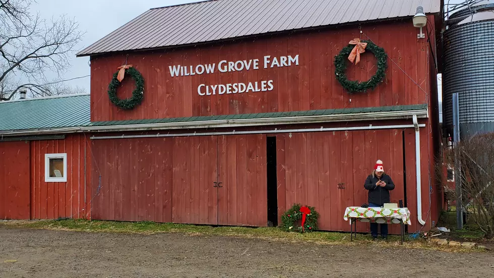 Willow Grove Farm in Long Valley NJ - Photo: Chris Coleman