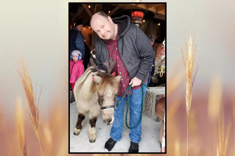 Me with Doug the Pony as seen in 2021 - Photo: Canva / Chris Coleman