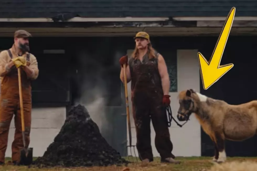 The Kelce Brothers and a Pony from NJ appearing in a Garage Beer commercial during the Super Bowl - Photo: YouTube user Jamie Apody