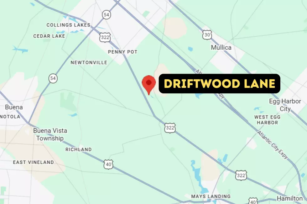 Driftwood Lane in Hamilton Township NJ - Photo: Google Maps / Canva