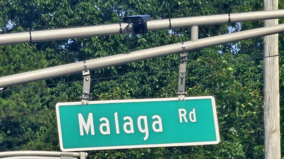 Automated License Plate Readers on the Black Horse Pike in Hamilton Township, NJ - Photo: Chris Coleman