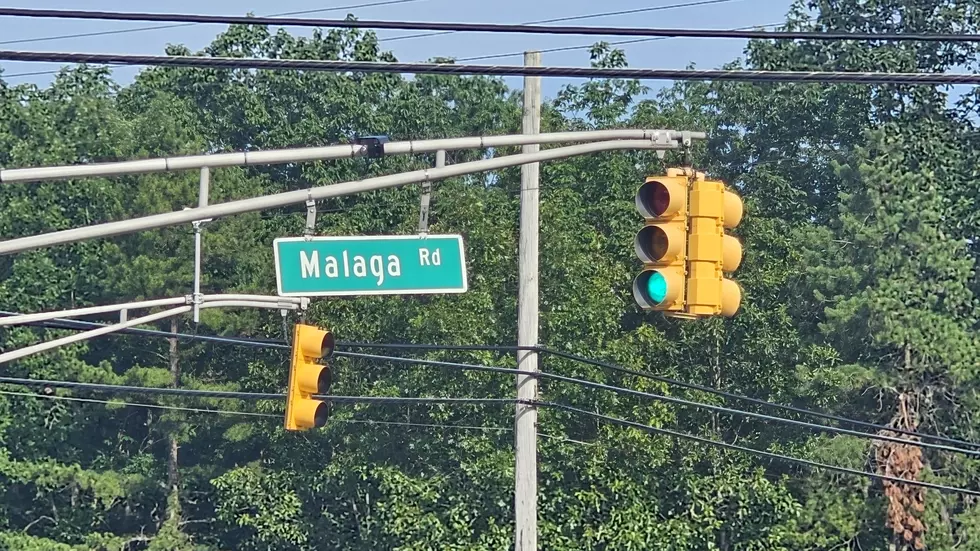 Automated License Plate Readers on the Black Horse Pike in Hamilton Township, NJ - Photo: Chris Coleman